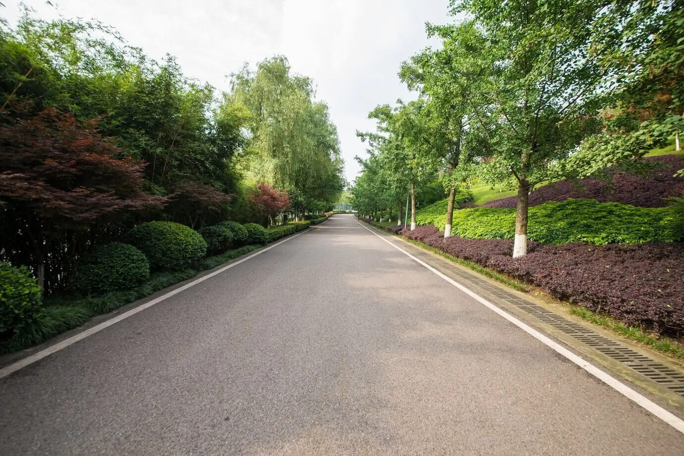 Greenery surrounds the beautiful road.